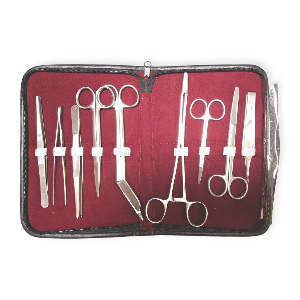 Instrumentensatz megro im Etui (1 Set) - ABVERKAUF